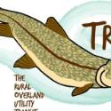 Catch The Trout company logo