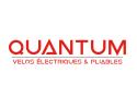 Quantum eBikes company logo