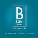 Blue On Water company logo