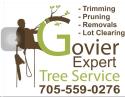 Govier Expert Tree Service company logo