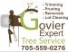 Govier Expert Tree Service