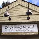 Dr. Sterling Desmond company logo