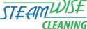 Steamwise Cleaning company logo