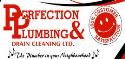 Perfection Plumbing & Drain Cleaning Ltd. company logo
