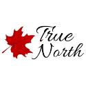 True North Janitorial Ltd. company logo