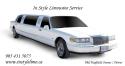 In Style Limousine Service company logo