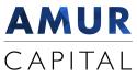 Amur Capital Management Corporation company logo