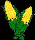 Snyder's Sweet Corn company logo